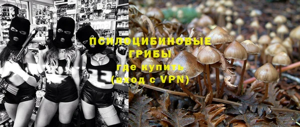 spice Вяземский