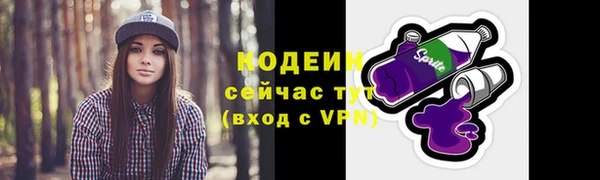 spice Вяземский