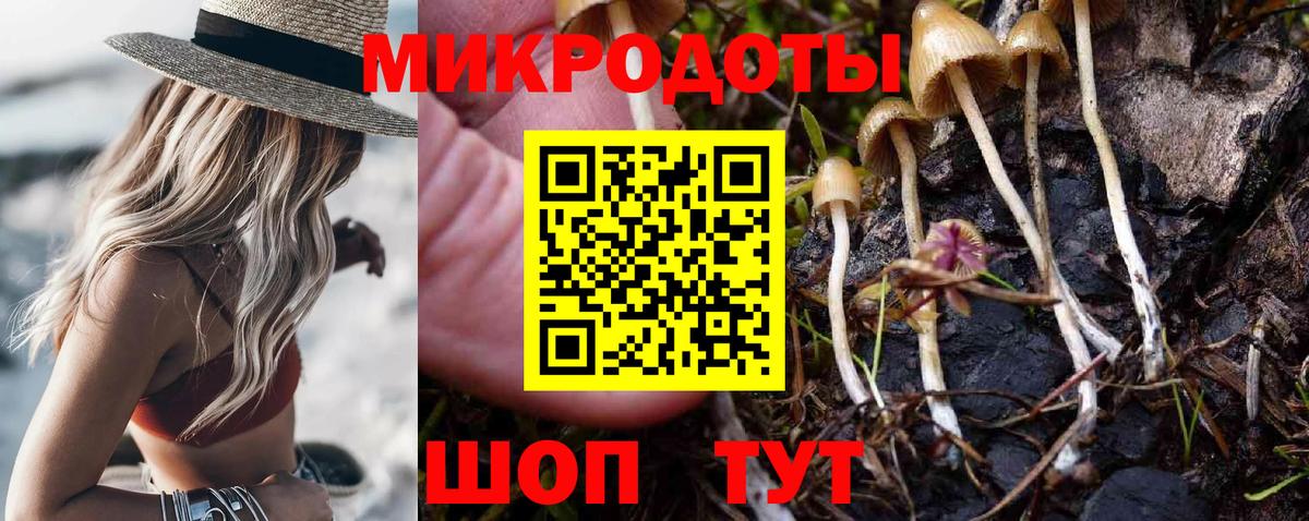 Псилоцибиновые грибы Magic Shrooms  Псилоцибиновые грибы мухоморы  Гусев 