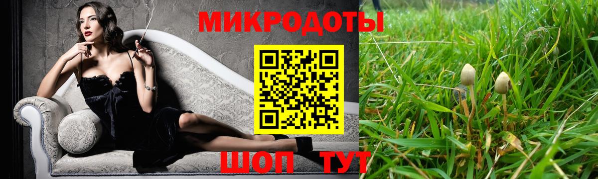 Псилоцибиновые грибы MAGIC MUSHROOMS  Вход с VPN  Гусев  Псилоцибиновые грибы мухоморы 